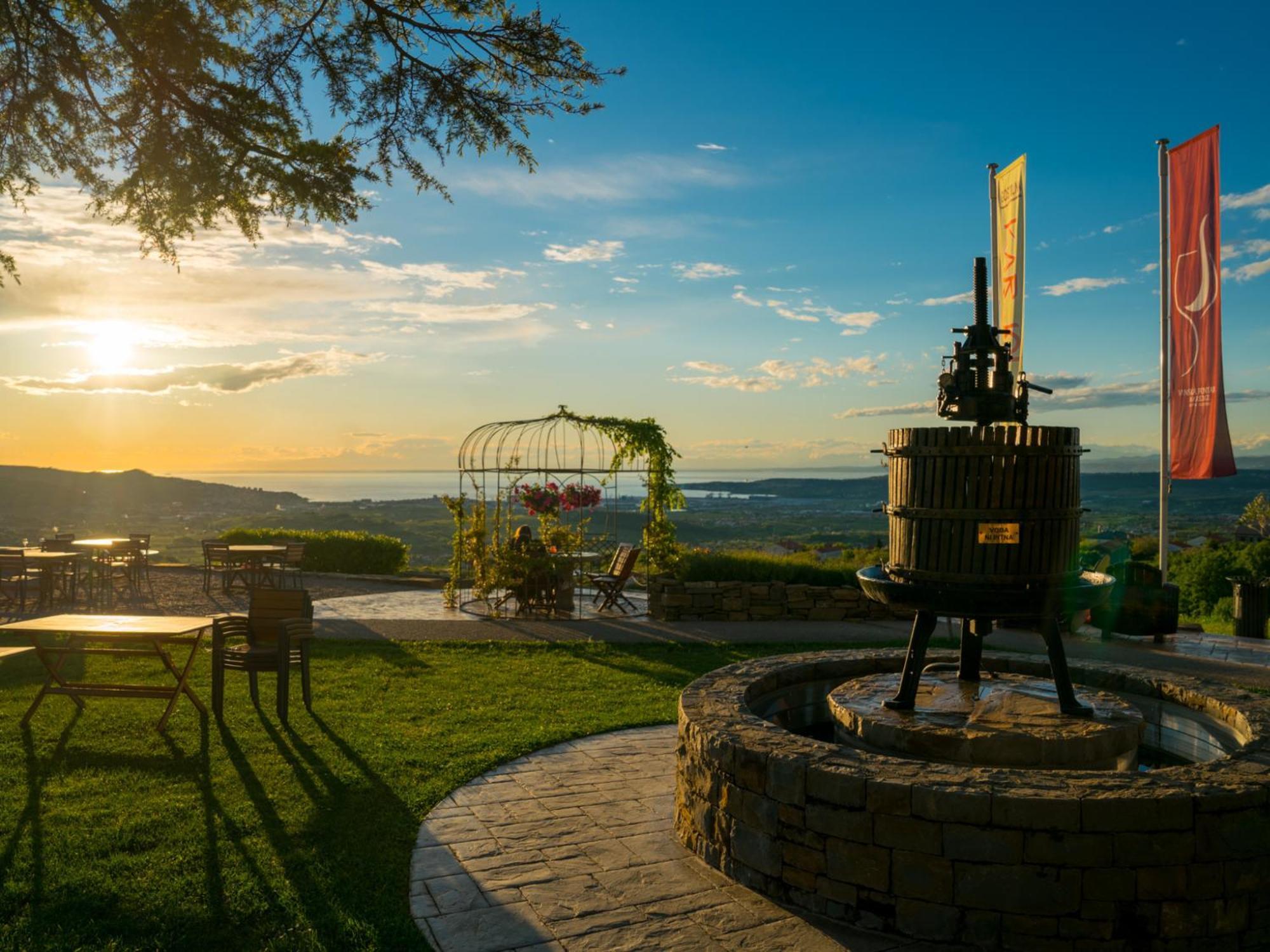 Wine Paradise - Glamping Resort Марезиге Екстер'єр фото