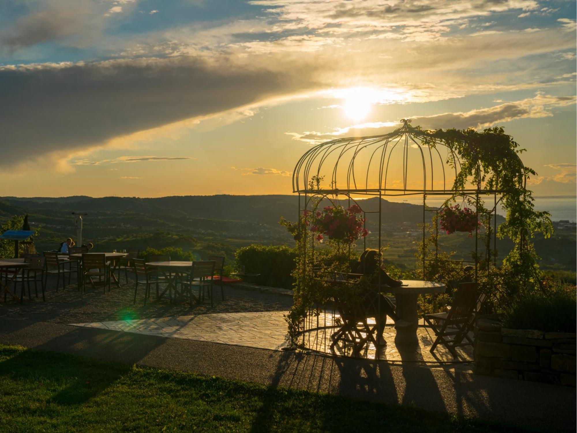 Wine Paradise - Glamping Resort Марезиге Екстер'єр фото